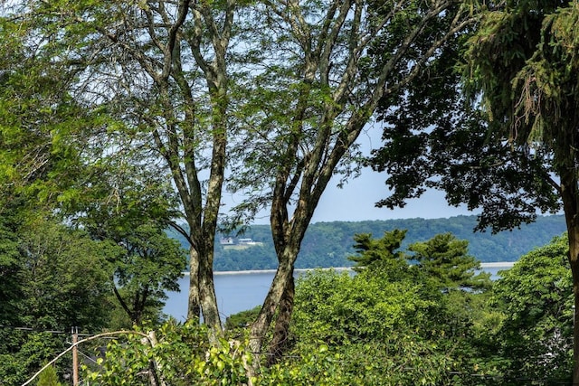 15 Rayson Ln, Dobbs Ferry, NY 10522 - water view with a forest