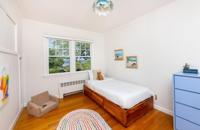 15 Rayson Ln, Dobbs Ferry, NY 10522 - bedroom featuring radiator, light wood finished floors, and crown molding