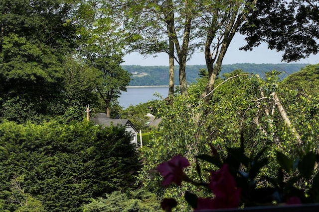 15 Rayson Ln, Dobbs Ferry, NY 10522 - water view featuring a forest