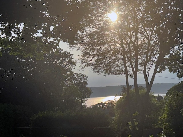 15 Rayson Ln, Dobbs Ferry, NY 10522 - water view