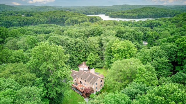 5 Plum Ct, Katonah, NY 10536 - photo 45