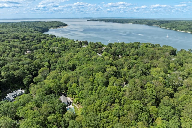 1508 Laurel Hollow Rd, Laurel Hollow, NY 11791 - bird's eye view of a forest and a nearby body of water