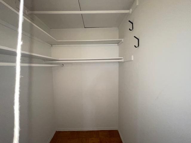 100 Clinton Ave Unit 4T, Mineola, NY 11501 - view of spacious closet