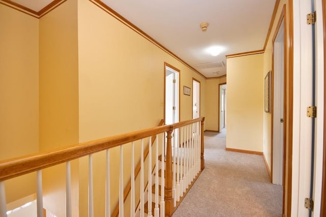 4 Andrew Ct, Florida, NY 10921 - hallway featuring crown molding, light carpet, and baseboards