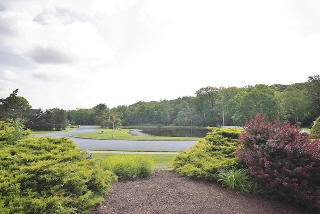 4 Andrew Ct, Florida, NY 10921 - view of yard with a water view and a view of trees