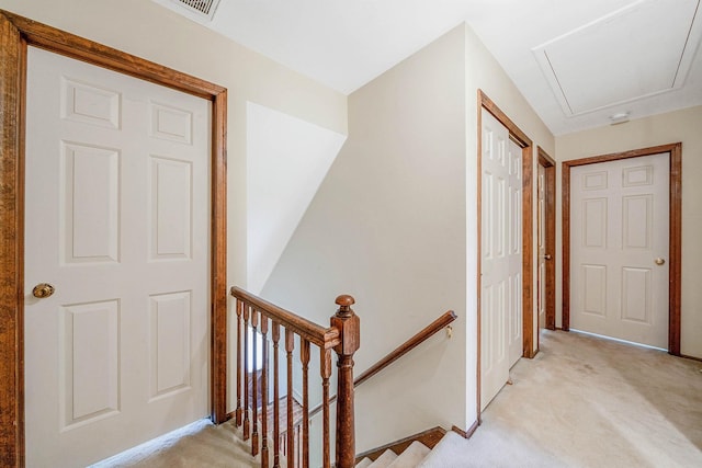 7 Sandpiper Ct, Shoreham, NY 11786 - hall featuring an upstairs landing and light colored carpet