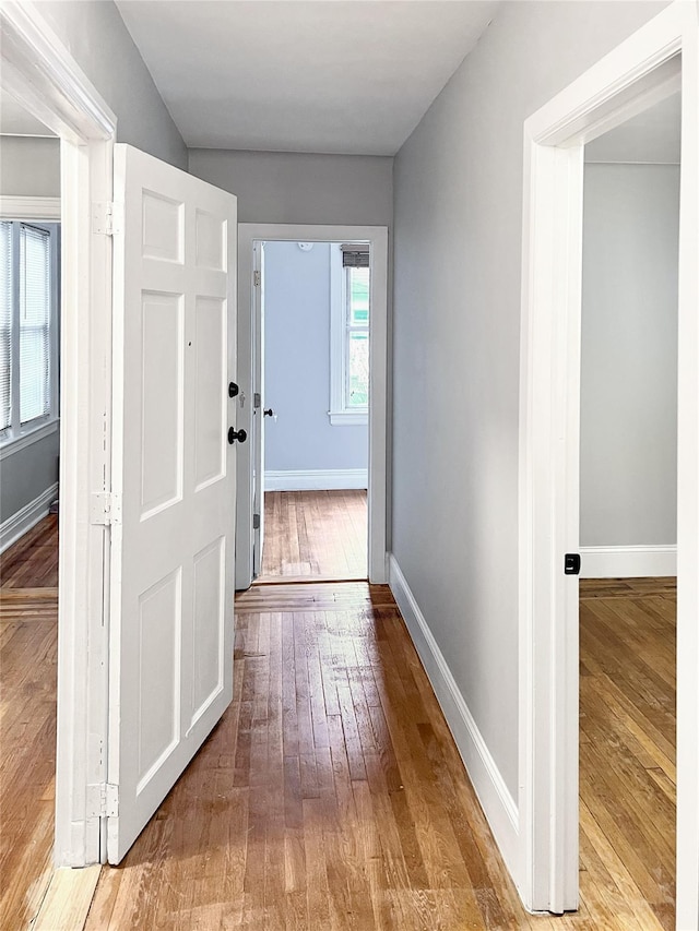 320 E 235th St, Bronx, NY 10470 - corridor featuring hardwood / wood-style flooring and baseboards