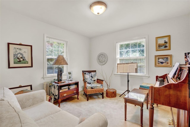 195 Loines Ave, Merrick, NY 11566 - living area with healthy amount of natural light, carpet floors, radiator, and baseboards
