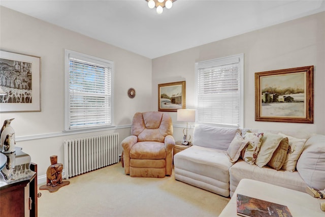 195 Loines Ave, Merrick, NY 11566 - carpeted living area featuring radiator