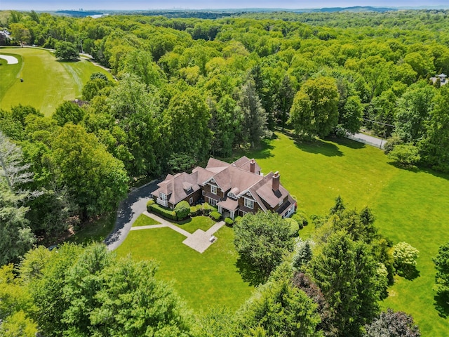 61 Carolyn Pl, Chappaqua, NY 10514 - view from above of property featuring a forest