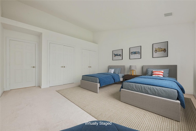 124 Pond View Dr Unit 317, Port Washington, NY 11050 - bedroom featuring two closets, carpet flooring, lofted ceiling, and baseboards