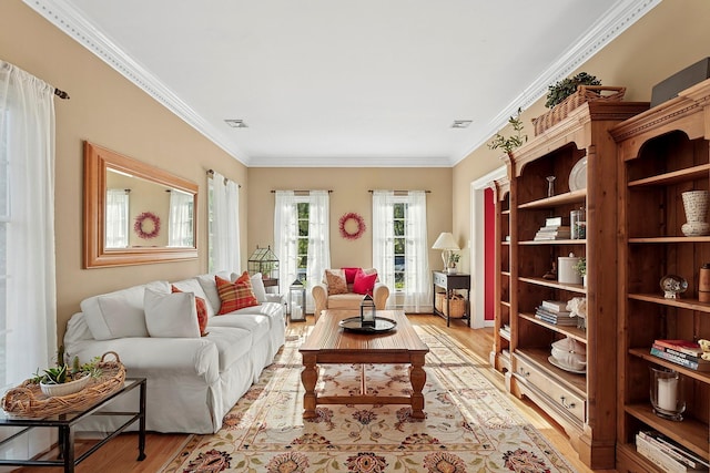 38 Maple Ave, Northport, NY 11768 - living room featuring light wood-type flooring and crown molding