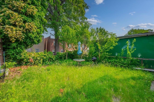 243 E 234th St, Bronx, NY 10470 - view of yard