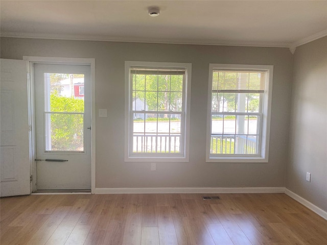 122 Oak Park Ter, Wappingers Falls, NY 12590 - doorway to outside with crown molding, healthy amount of natural light, and light wood-type flooring
