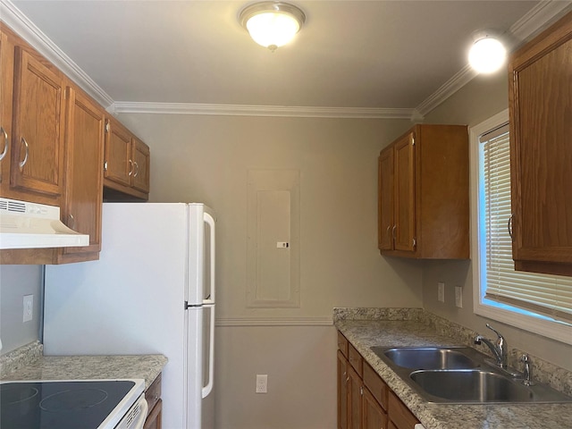 122 Oak Park Ter, Wappingers Falls, NY 12590 - kitchen featuring a sink, under cabinet range hood, brown cabinets, electric stove, and ornamental molding