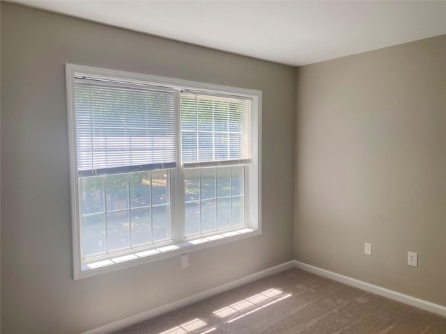 122 Oak Park Ter, Wappingers Falls, NY 12590 - unfurnished room featuring baseboards and carpet flooring