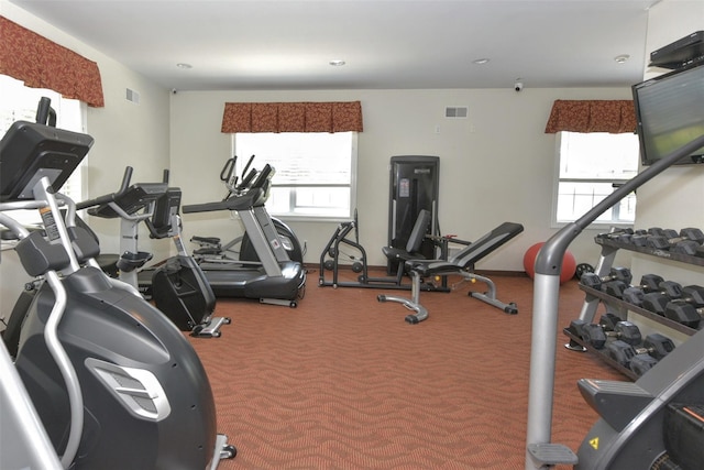 2 Hidden Creek Blvd, Monroe, NY 10950 - view of workout area