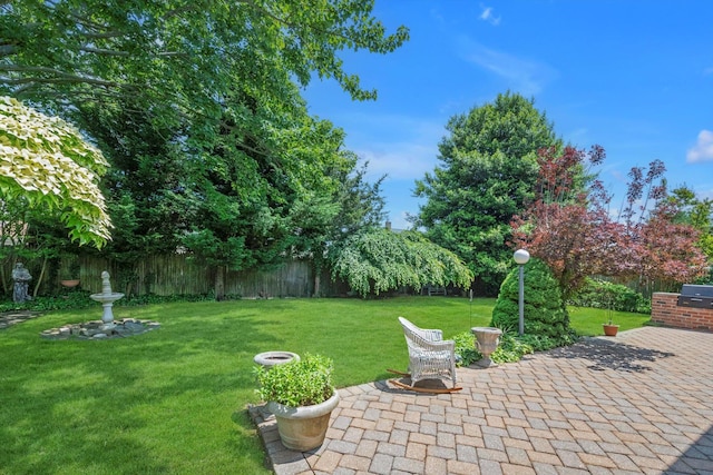 116 Intervale Ave, Farmingdale, NY 11735 - view of yard with a patio area