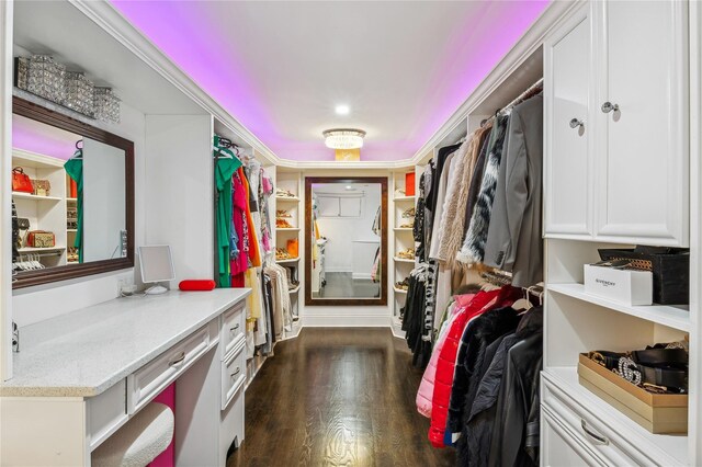 2854 Whaleneck Dr, Merrick, NY 11566 - walk in closet with dark wood-style floors