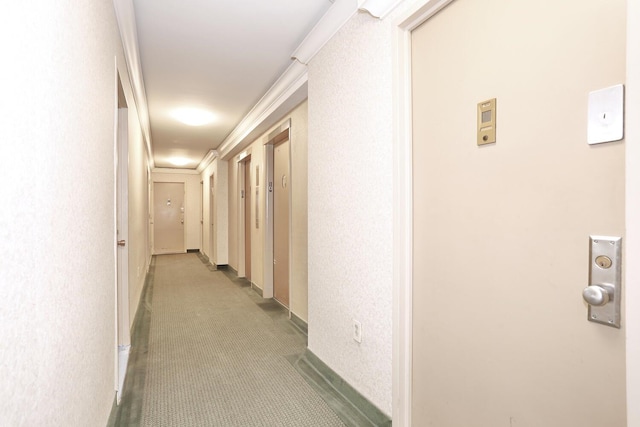 311 71st St E Unit 10A, New York Manhattan, NY 10021 - hall with carpet and baseboards