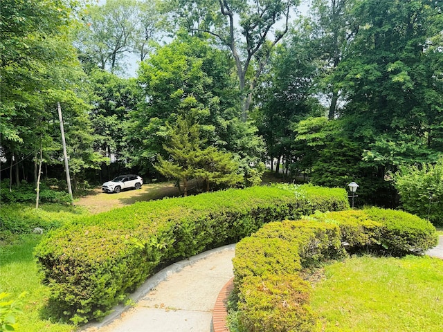 56 Elwood Rd, Northport, NY 11768 - view of yard