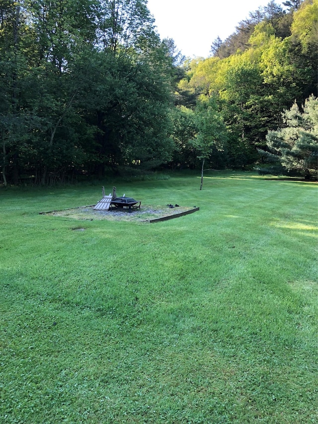 1546 Denning Rd, Claryville, NY 12725 - view of grassy yard with a view of trees