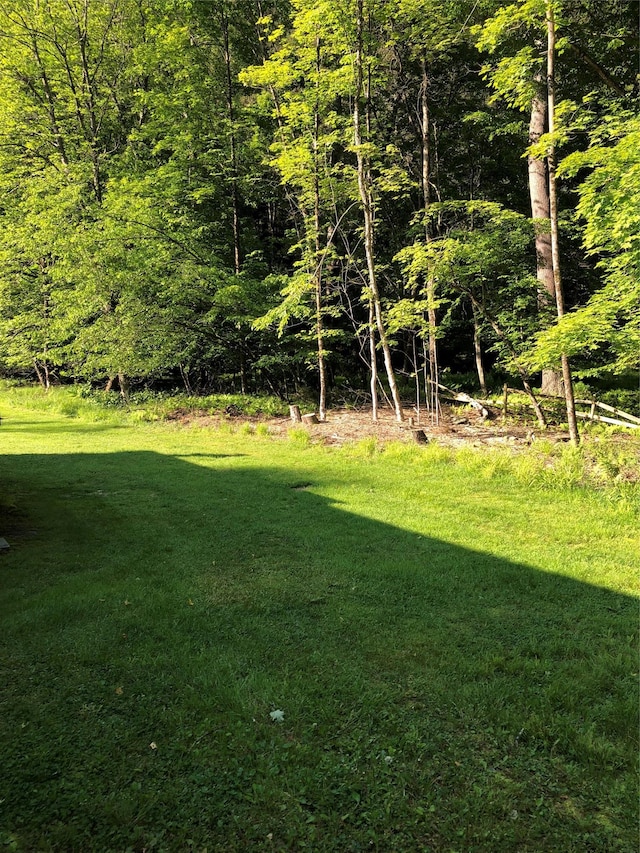 1546 Denning Rd, Claryville, NY 12725 - view of green lawn with a wooded view