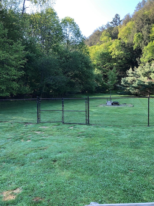 1546 Denning Rd, Claryville, NY 12725 - view of yard featuring a gate