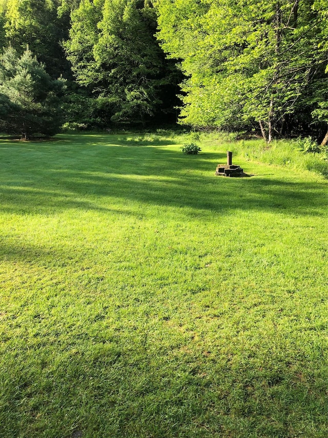 1546 Denning Rd, Claryville, NY 12725 - view of green lawn