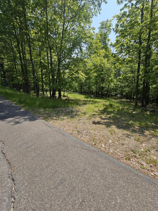Skyline Dr, Neversink, NY 12765
