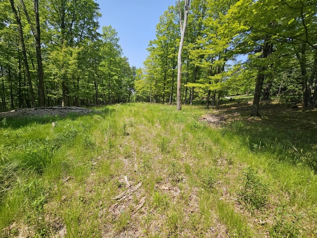 Skyline Dr, Neversink, NY 12765