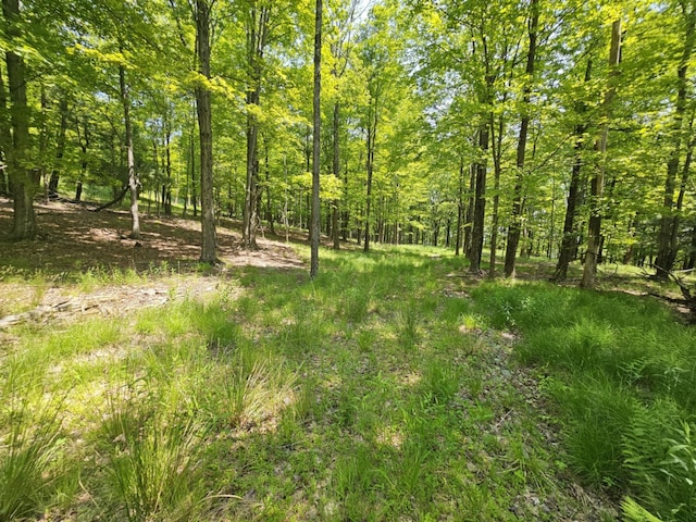 Skyline Dr, Neversink, NY 12765
