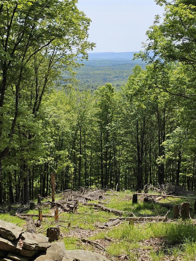 Skyline Dr, Neversink, NY 12765