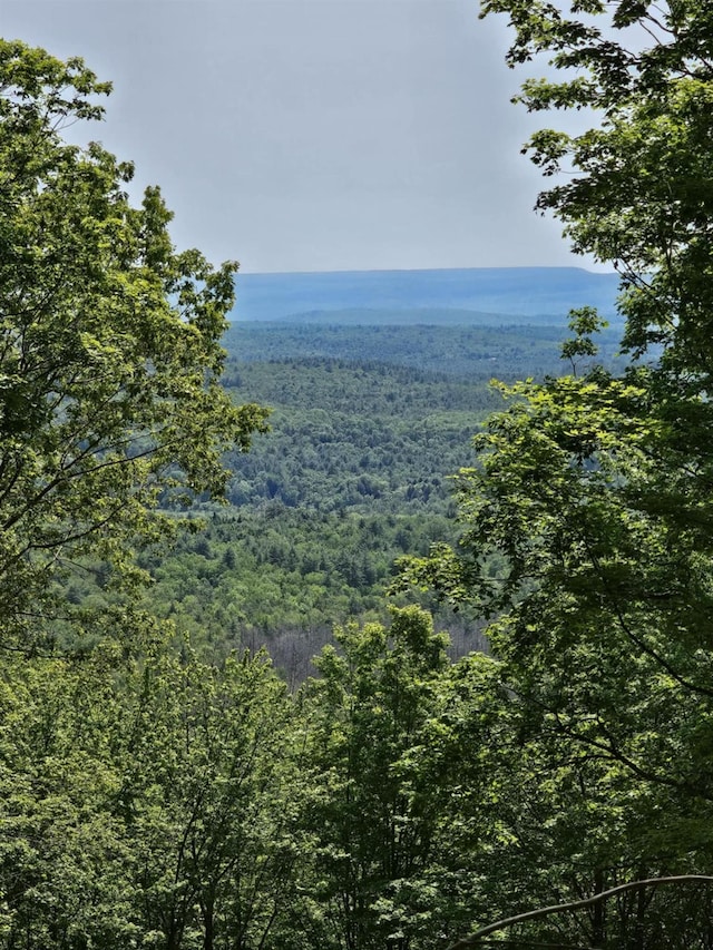 Skyline Dr, Neversink, NY 12765