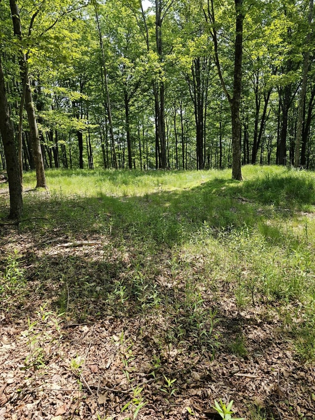 Skyline Dr, Neversink, NY 12765