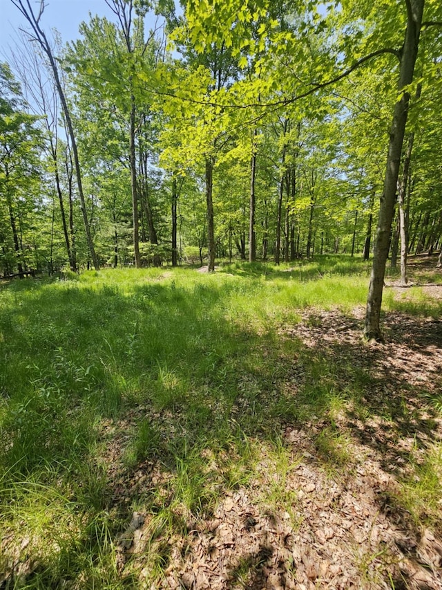 Skyline Dr, Neversink, NY 12765