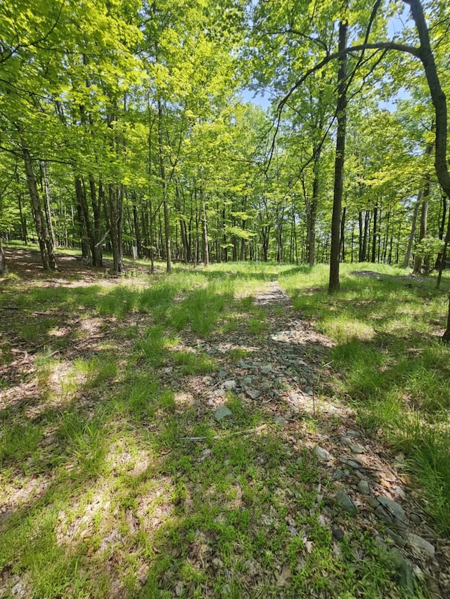 Skyline Dr, Neversink, NY 12765