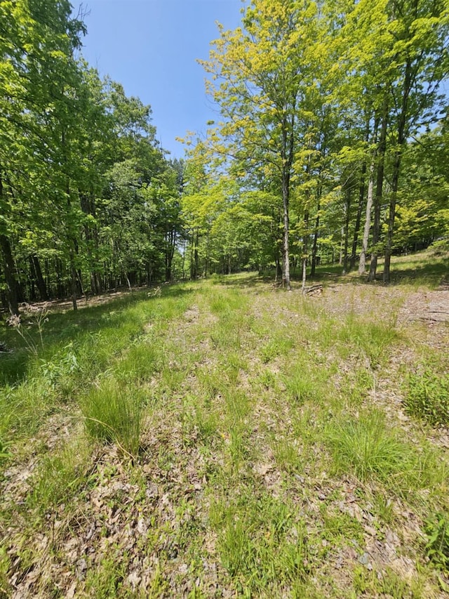 Skyline Dr, Neversink, NY 12765