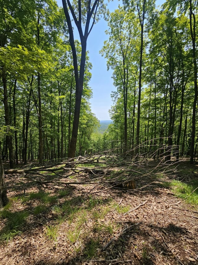 Skyline Dr, Neversink, NY 12765