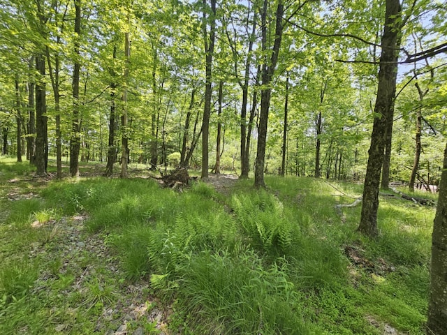 Skyline Dr, Neversink, NY 12765