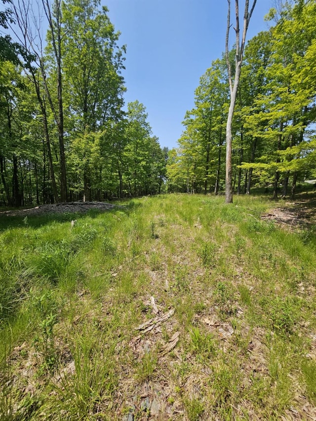 Skyline Dr, Neversink, NY 12765