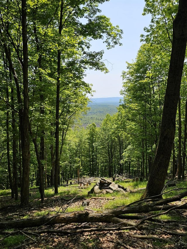 Skyline Dr, Neversink, NY 12765