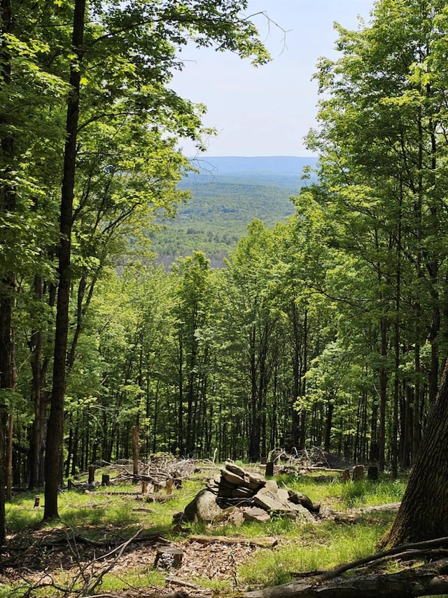 Skyline Dr, Neversink, NY 12765