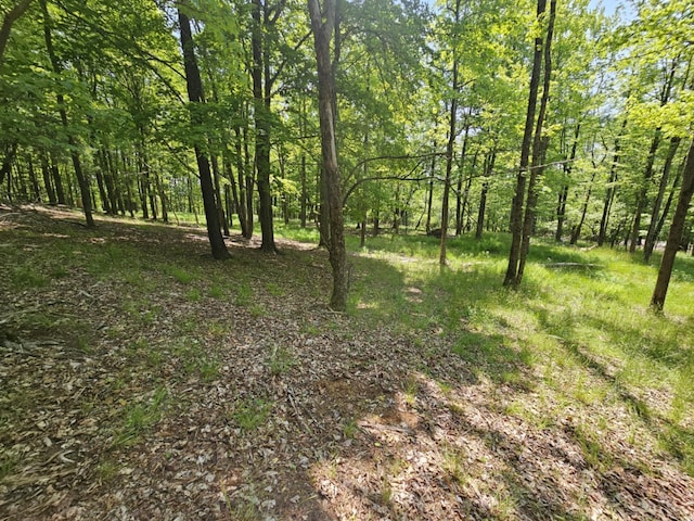 Skyline Dr, Neversink, NY 12765