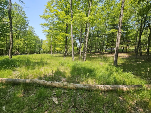 Skyline Dr, Neversink, NY 12765