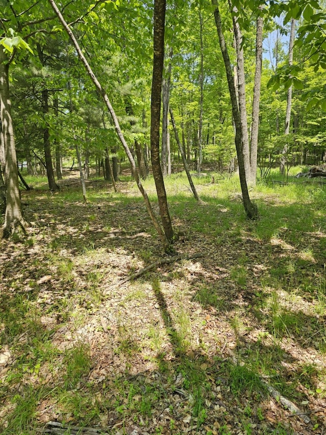 Skyline Dr, Neversink, NY 12765