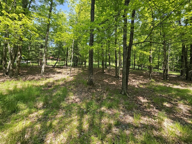 Skyline Dr, Neversink, NY 12765