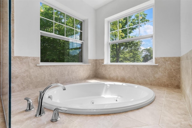 19 Woodrose Ct, Middletown, NY 10940 - bathroom featuring plenty of natural light and a jetted tub