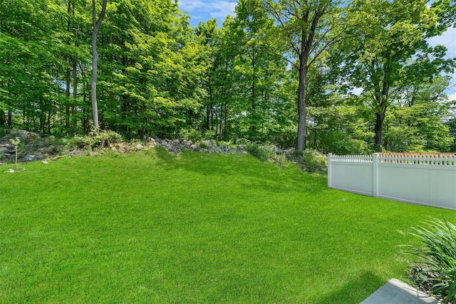 19 Woodrose Ct, Middletown, NY 10940 - view of yard