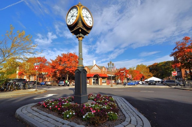 142 Garth Rd Unit 1A, Scarsdale, NY 10583 - view of surrounding community